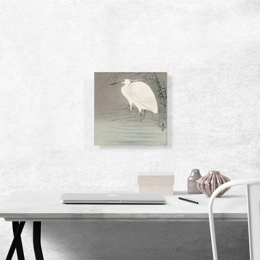 Wading Egret