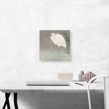 Wading Egret