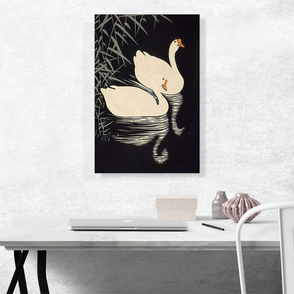 White Chinese Geese Swimming by Reeds