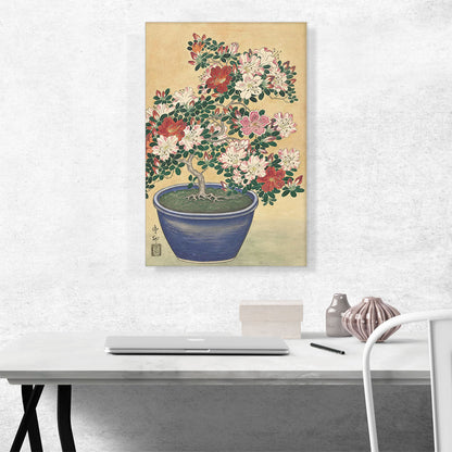 Bloeiende Azalea in a Pot