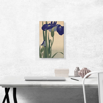 Blue Iris