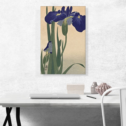 Blue Iris