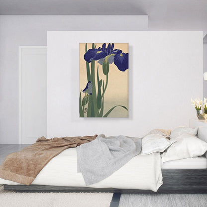 Blue Iris
