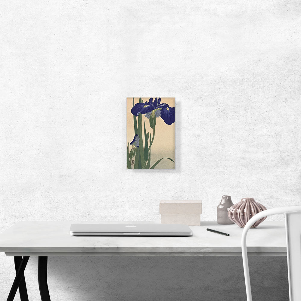 Blue Iris