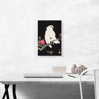 Cockatoo on Pomegranate Branch