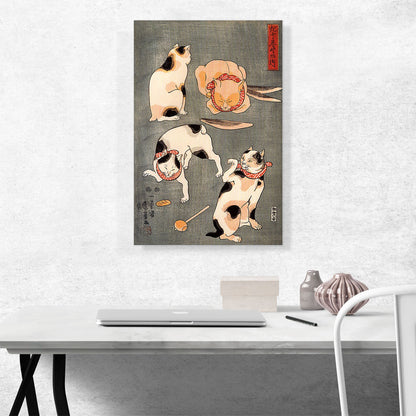 Four Cats in Different Poses
