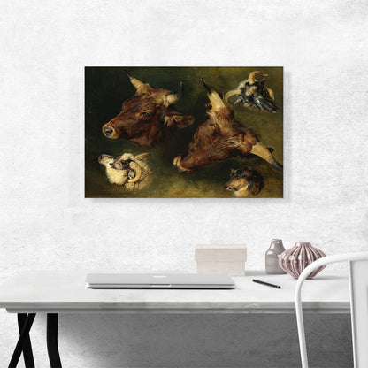 Studies of Cattle and Sheep