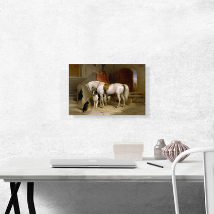 Favourites - The Property of Prince George of Cambridge 1835