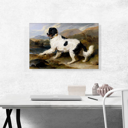 Lion - A Newfoundland Dog 1824