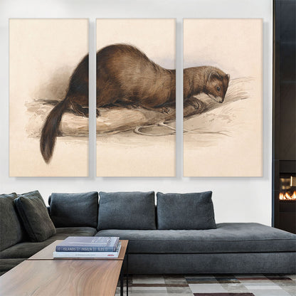 A Weasel 1832