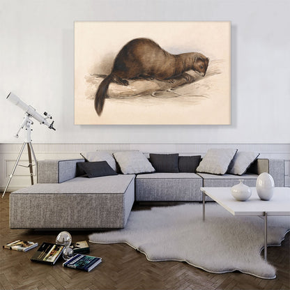 A Weasel 1832