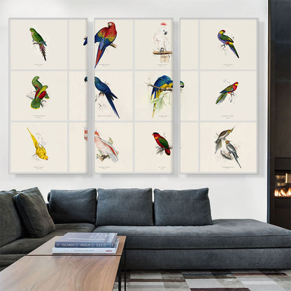 Parrot Cockatoo Macaw Parakeet Collage Rectangle