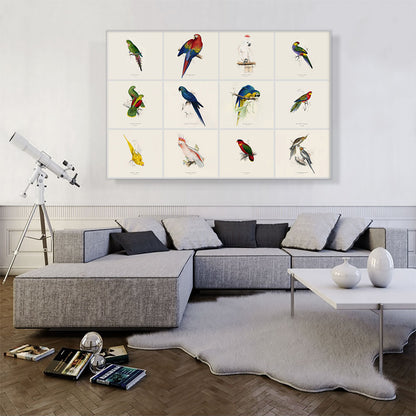 Parrot Cockatoo Macaw Parakeet Collage Rectangle