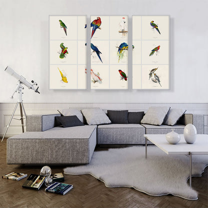Parrot Cockatoo Macaw Parakeet Collage Rectangle
