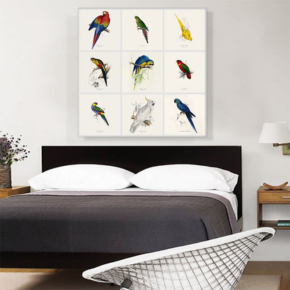 Parrot Cockatoo Macaw Parakeet Collage Square