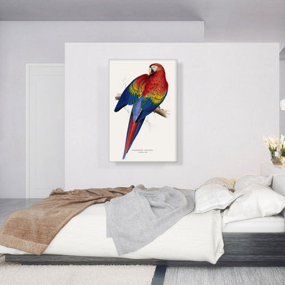 Red And Yellow Macaw 1830