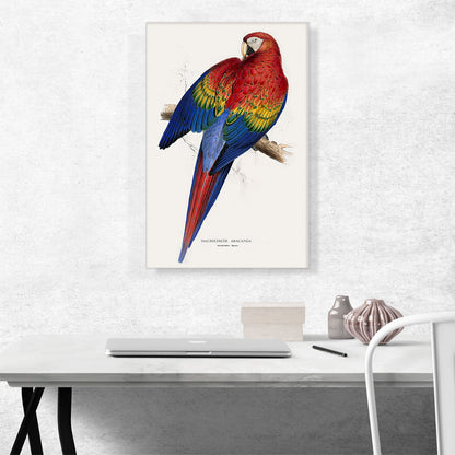 Red And Yellow Macaw 1830