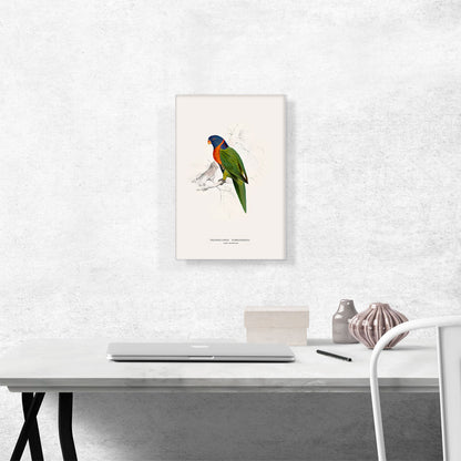 Scarlet-Collared Parakeet
