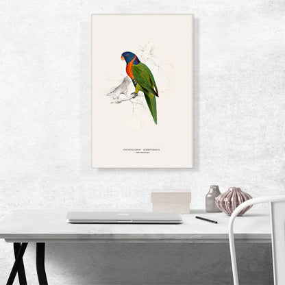 Scarlet-Collared Parakeet
