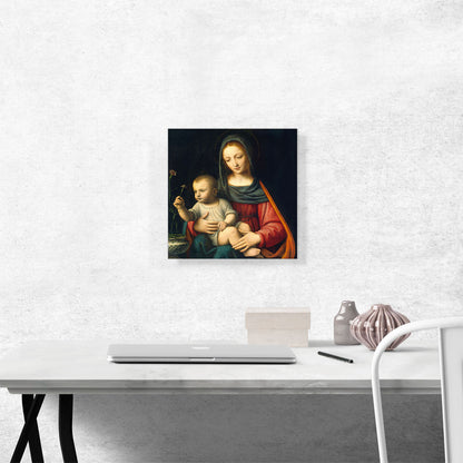 The Madonna Of The Carnation