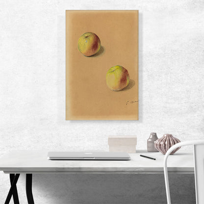 Two Apples 1880