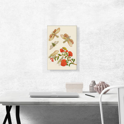 Branch Of Pomegranate With Lanternfly Cicada 1702