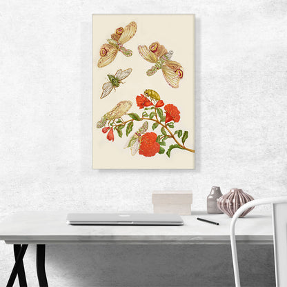Branch Of Pomegranate With Lanternfly Cicada 1702
