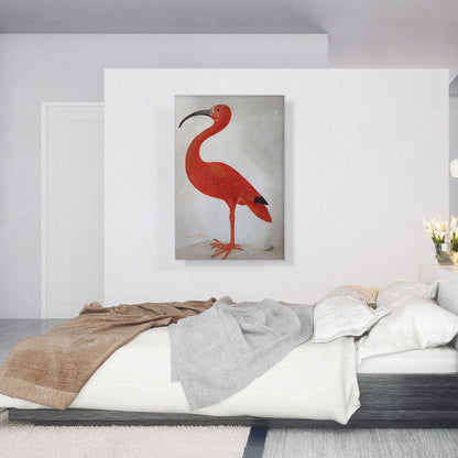 Scarlet Ibis With An Egg 1699