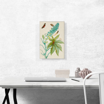 Castor Oil Plant With Ricini Longwing Butterfly 1702
