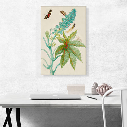 Castor Oil Plant With Ricini Longwing Butterfly 1702