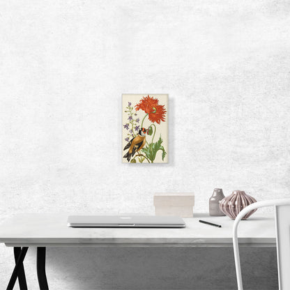 Flower Book