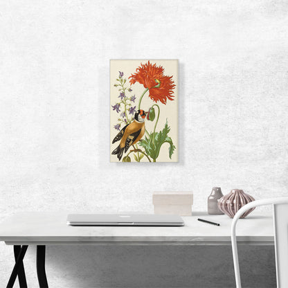 Flower Book