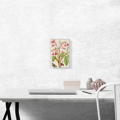 Frangipani Plant With Red Cracker Butterfly 1702
