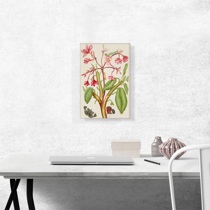 Frangipani Plant With Red Cracker Butterfly 1702