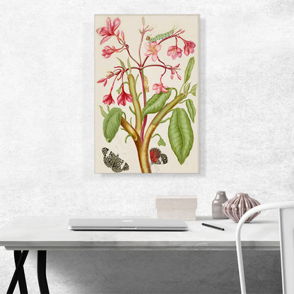 Frangipani Plant With Red Cracker Butterfly 1702