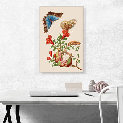Pomegranate And Menelaus Blue Morpho Butterfly 1702