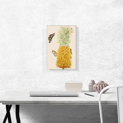 Ripe Pineapple With Dido Longwing Butterfly 1702