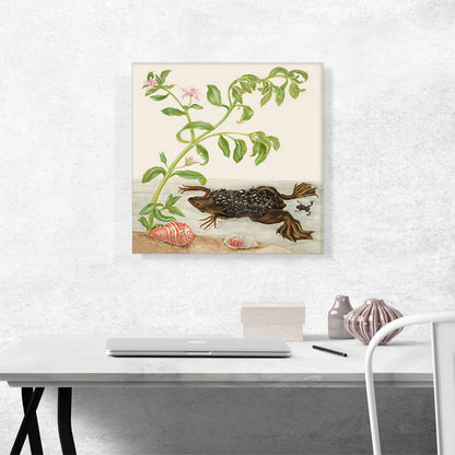Shoreline Purslane and Suriname Toad 1702