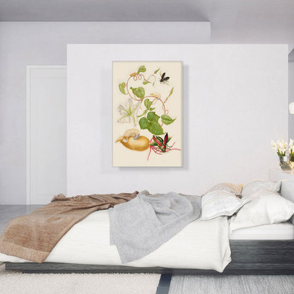 Tropical White Morning Glory With Two Beetles 1702