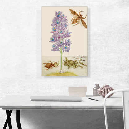 Water Hyacinth Marbled Tree Frogs Giant Water Bugs 1702