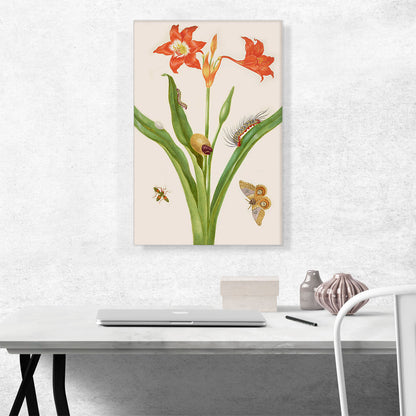 Barbados Lily With Bullseye Moth Leaf-Footed Bug 1702