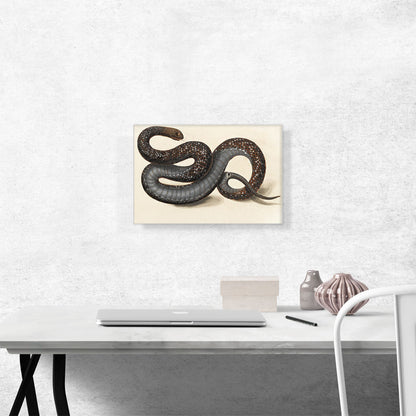 A Snake