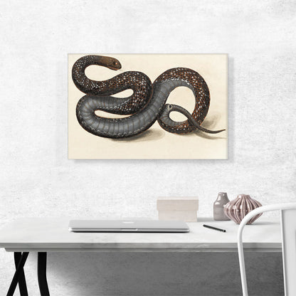 A Snake
