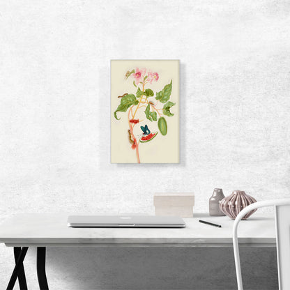 Branch Of Achiote With Firetip Butterfly 1702
