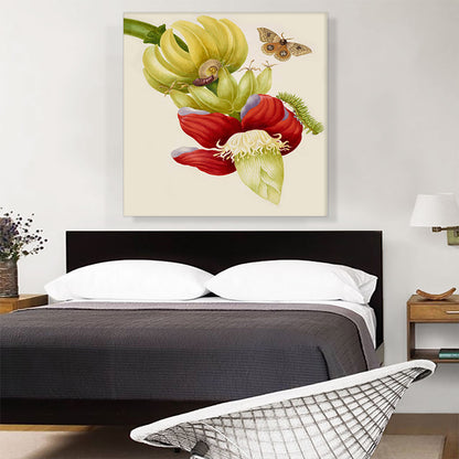 Branch Of Banana With Bullseye Moth 1702