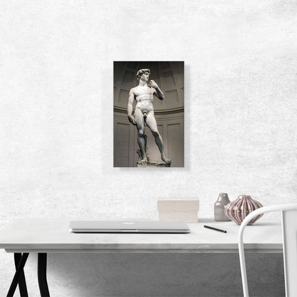 David 1504