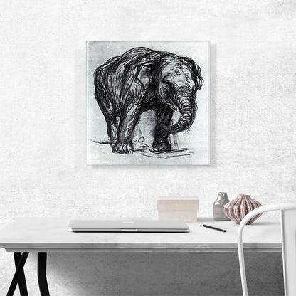 Elephant 1907