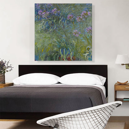 Agapanthus Flowers