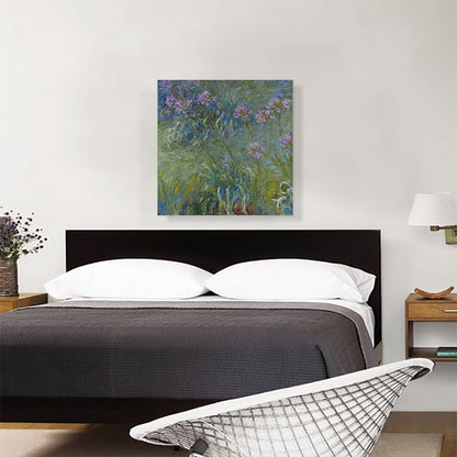 Agapanthus Flowers