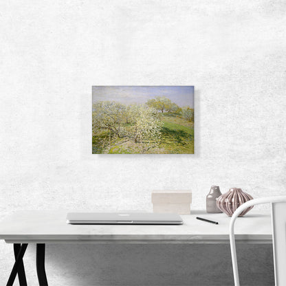 Spring - Fruit Trees in Bloom